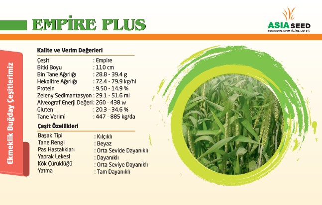 Empire Plus Ekmeklik Buğday