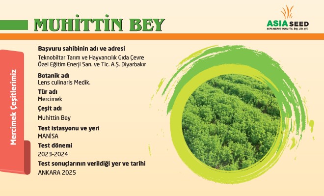 Muhittin Bey Mercimek